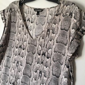 Express V-neck Shirt